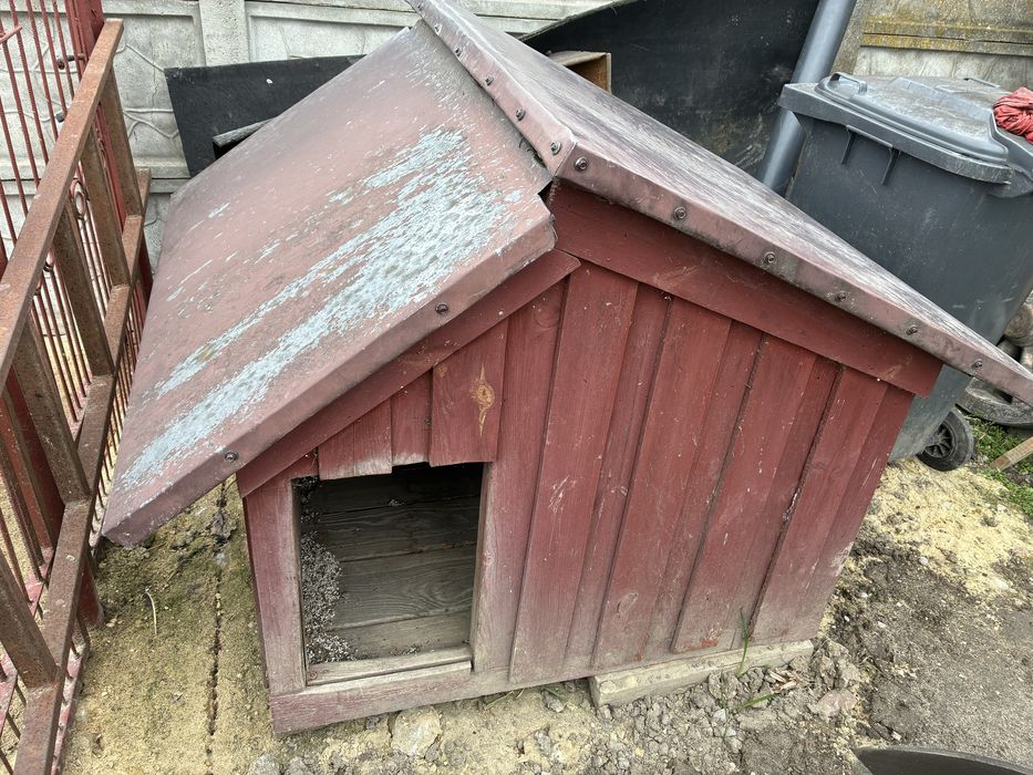 Duda dla dużego psa