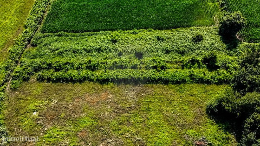 Terreno  para venda