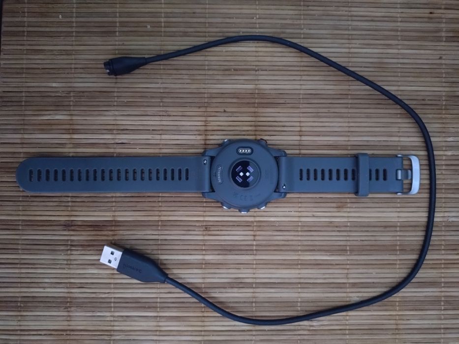 GARMIN Forerunner 255 (cinzento)