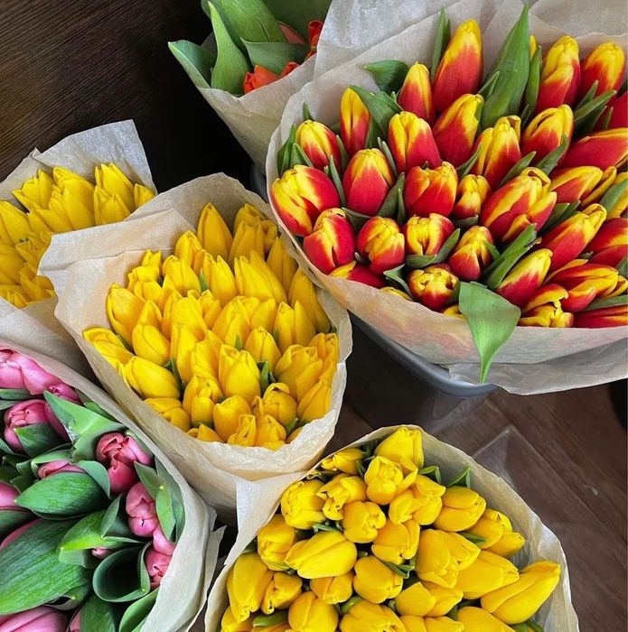 АКЦІЯ!! Тюльпани опт 8 березня, найнижча ціна у Києві