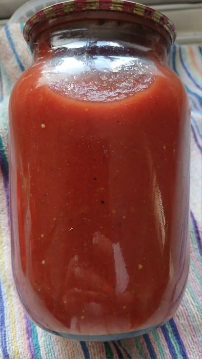Продам домашній кетчуп, дорослі фіалки, очиток, (зайчья капуста)