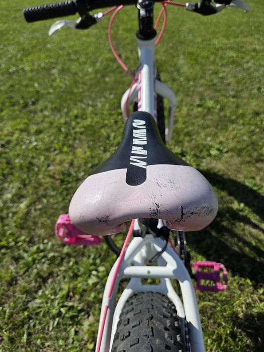 Rower dla dziewczynki 20