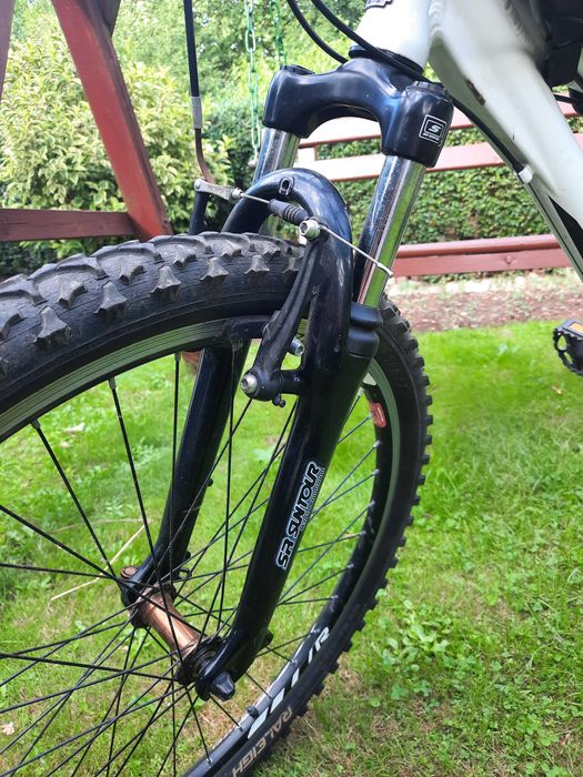 Rower Raleigh dla nastolatka/latki