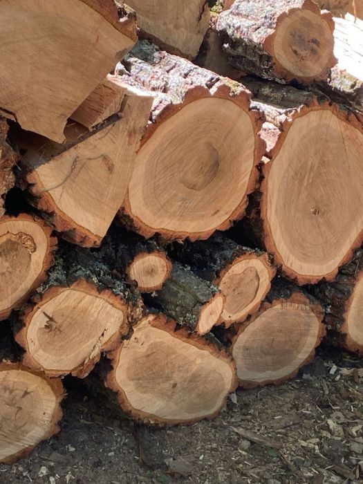 Дрова колені, дуб/ясен/акація