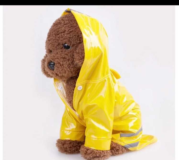 Дощовик на собачку