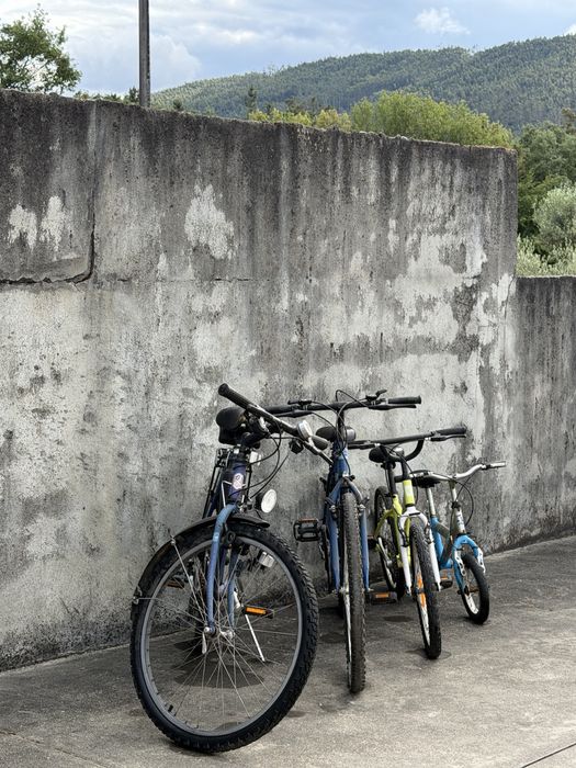Bicicletas adulto e criança