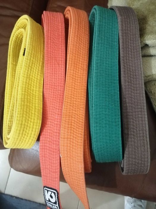 Cintos (Artes Marciais)