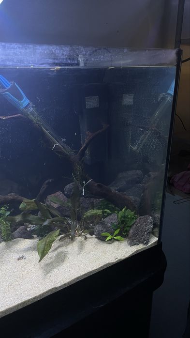 Aquário 85L  Montado C/ Móvel e Acessórios