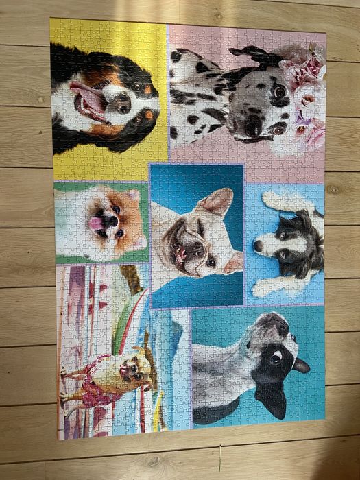 Puzzle trefl 1500 psy