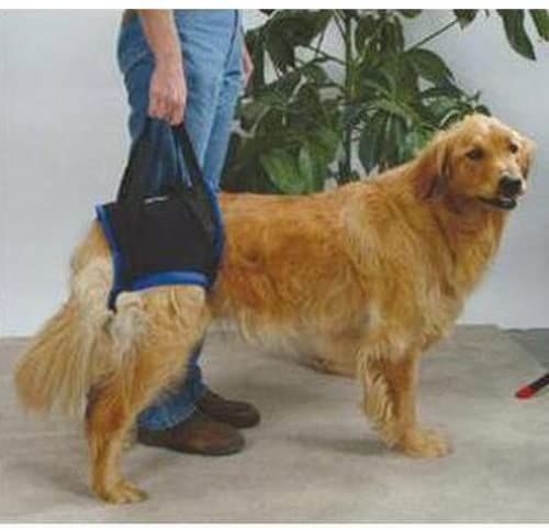 Arnês de suspensão para cães de porte medio/alto