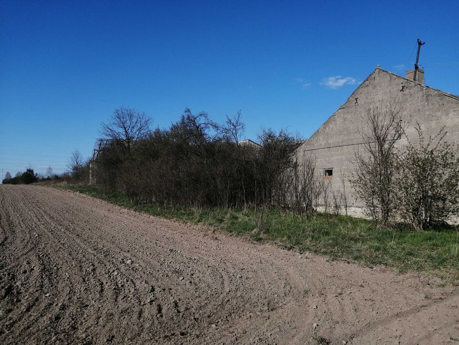 Wycinka drzew,Rozbiórka stodoły ,koszenie, mycie kostki, sprzatanie