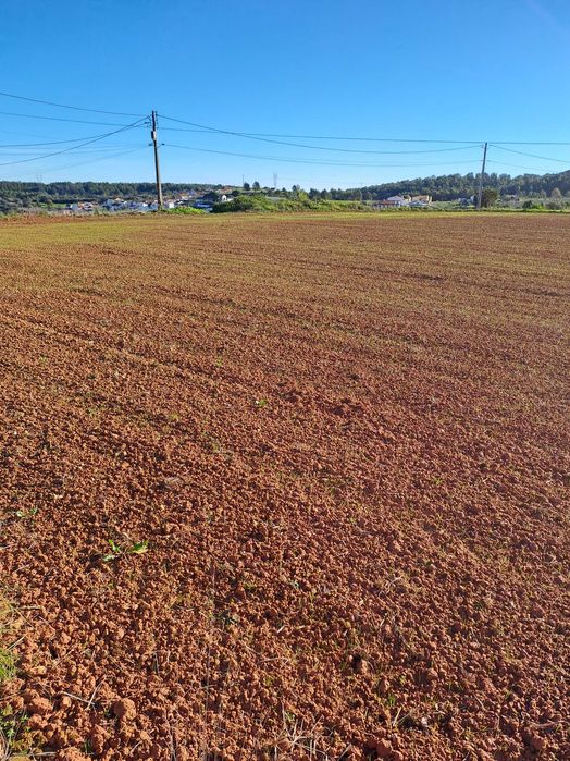 Terrenos agrícola Abrigada