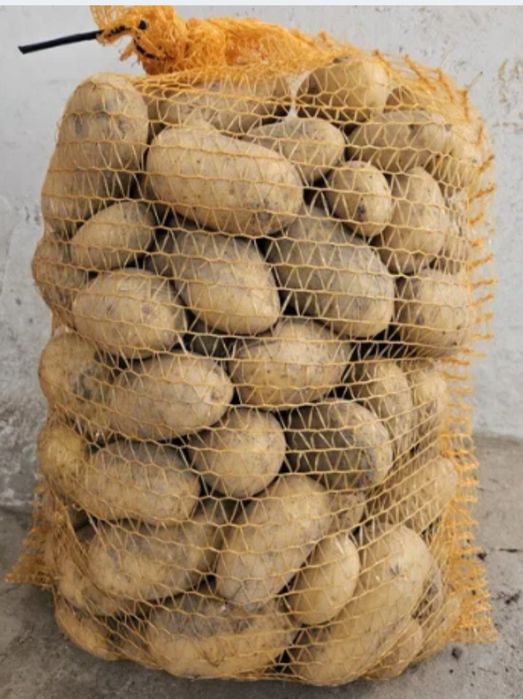 Ziemniaki soraja i lord