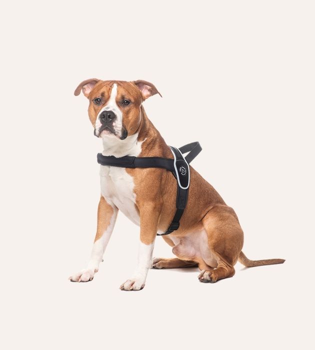 Шлейка для собак Tre Ponti Primo Plus Reflective