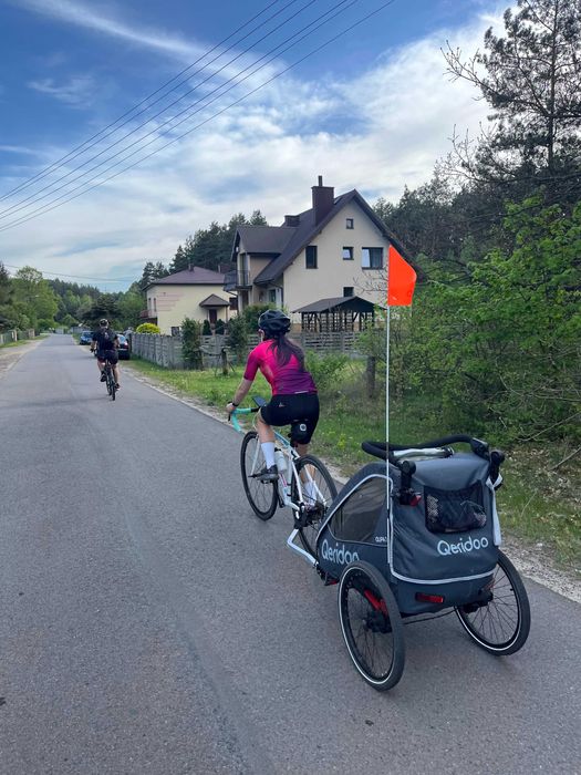 Qeridoo Qupa 1 Przyczepka Rowerowa