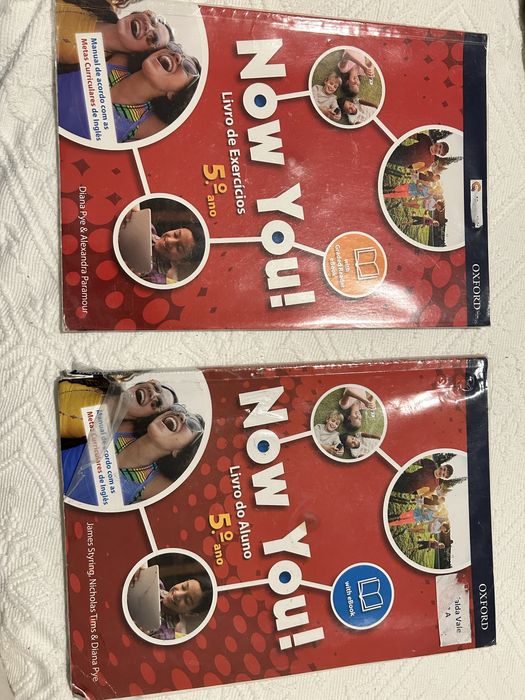 Manuais e cadernos exercicios 5 ano