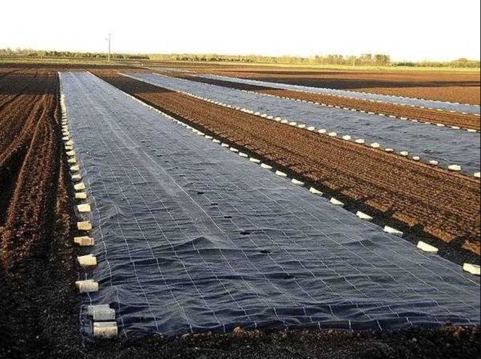 Польське агроволокно. Мульча, теплиця (Працюю з ТОВ, ФГ, ПП, ФОП тощо)