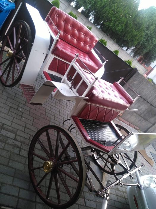 Bryczka konna możliwość zamiany na ogiera walijskiejgo