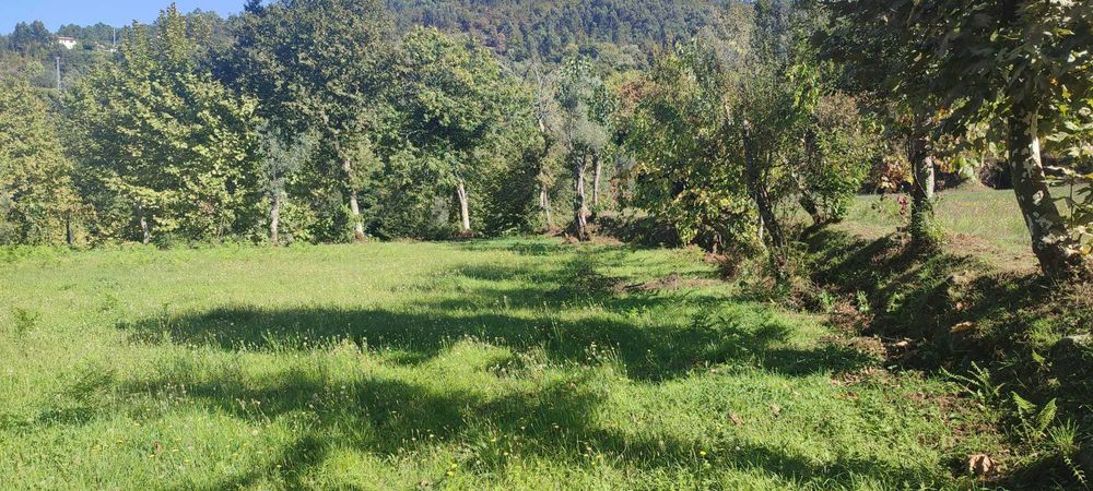 Vendo terreno com 1.074 m² em Souto, Terras de Bouro