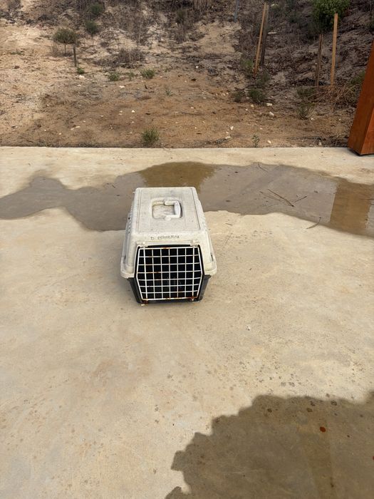 Transportadora para animais