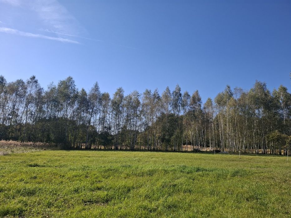 Działka Budowlana 20 minut od centrum Kielc - Widok 2