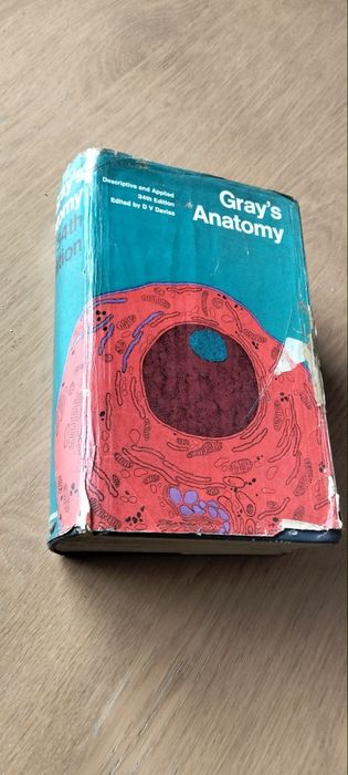 Gray’s Anatomy – 34ª Edição (Descriptive and Applied)

Vendo livro clássico de anatomia humana, Gray’s Anatomy, 34ª edição, editado por

Vendo livro c