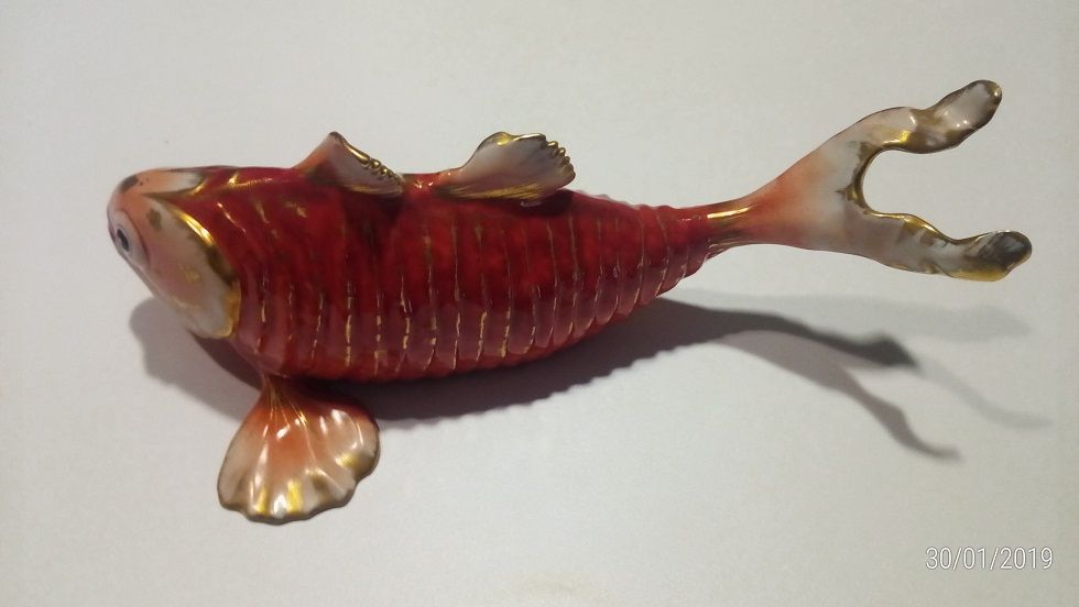 Peixe Húngaro Salmão e Ouro - vista alegre