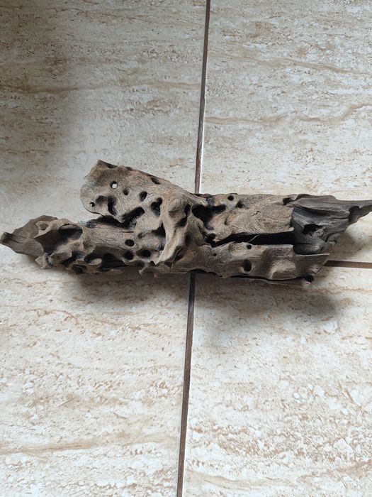 Akwarium z akcesoriami