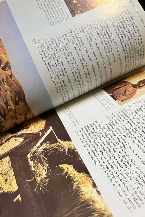 Nowy Testament z ilustracjami. Nowy przekład z języka greckiego