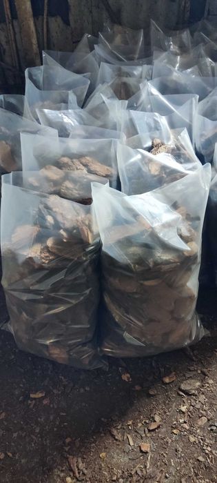 Kora sosnowa ozdobna 80-150 ręcznie wybierana