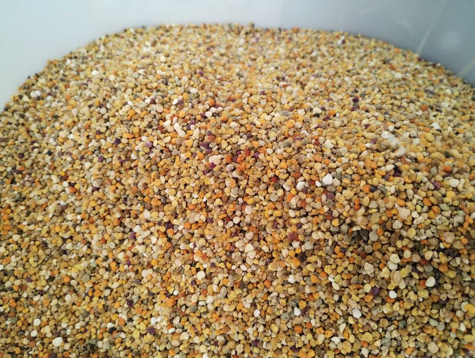 Pólen de abelha 2025