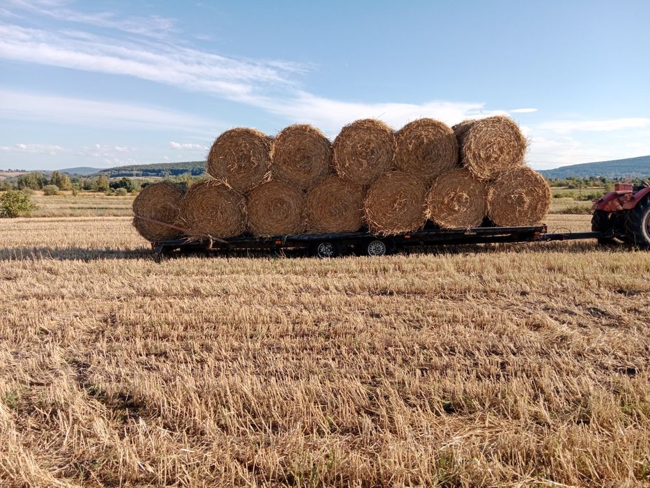 Słoma w belach sprzedam