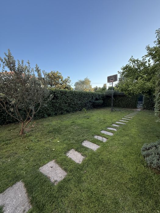 Limpeza de Terrenos , Jardinagem , Podas