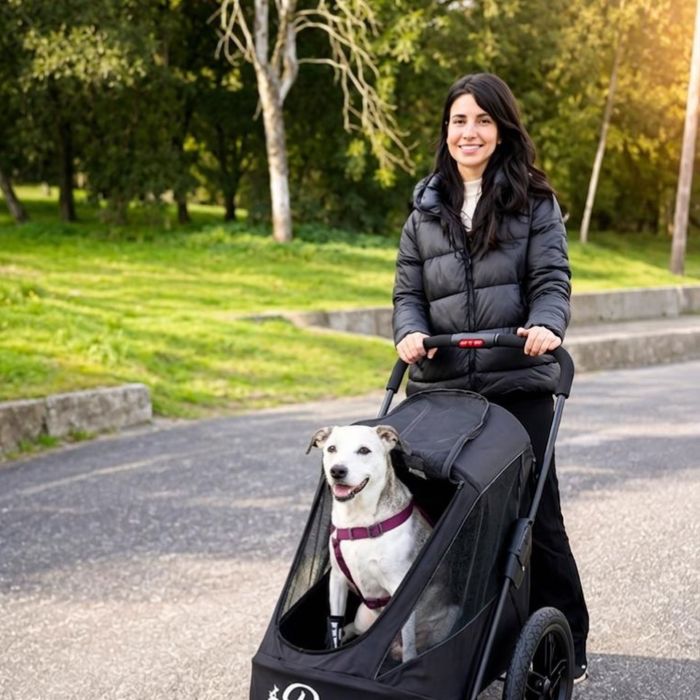 Pet Sitter, Creche Individual Lisboa | Pet Care & Day Care