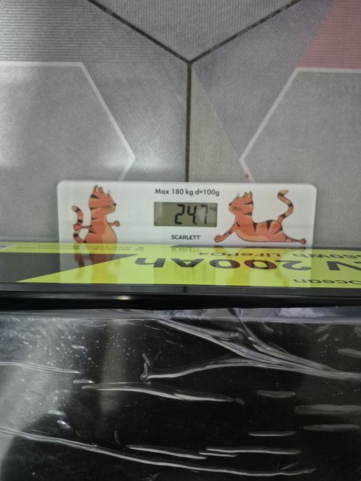 Cyber Ocean LiFePO4 12V 200Ah 2560Wh — BMS 200A, акумулятор  (DATOUBOSS , MFUZOP, PowMr, Anern))
