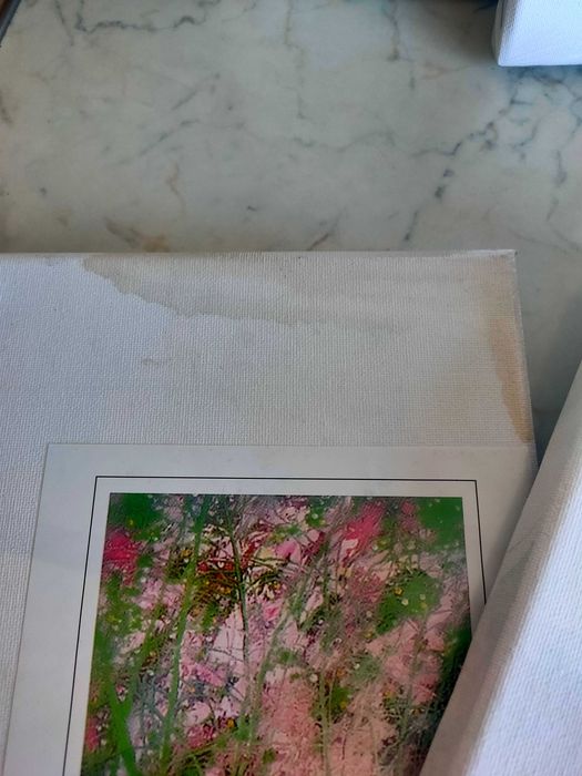 Lot of Painting Canvases64739892552833122