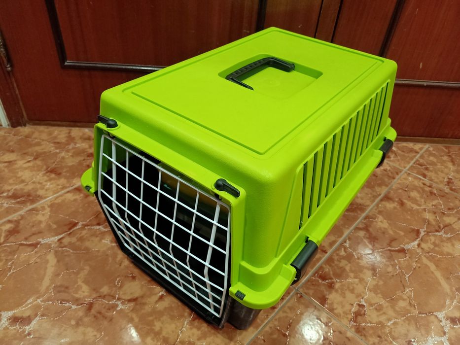 Transportadora animais de estimação carro casa quarto apartamento.