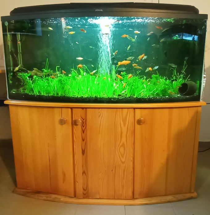 Akwarium Aquael 350l z szafką i całym osprzętem-życiem.