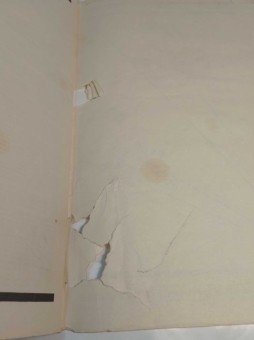 Красный перец и другие .советский художник