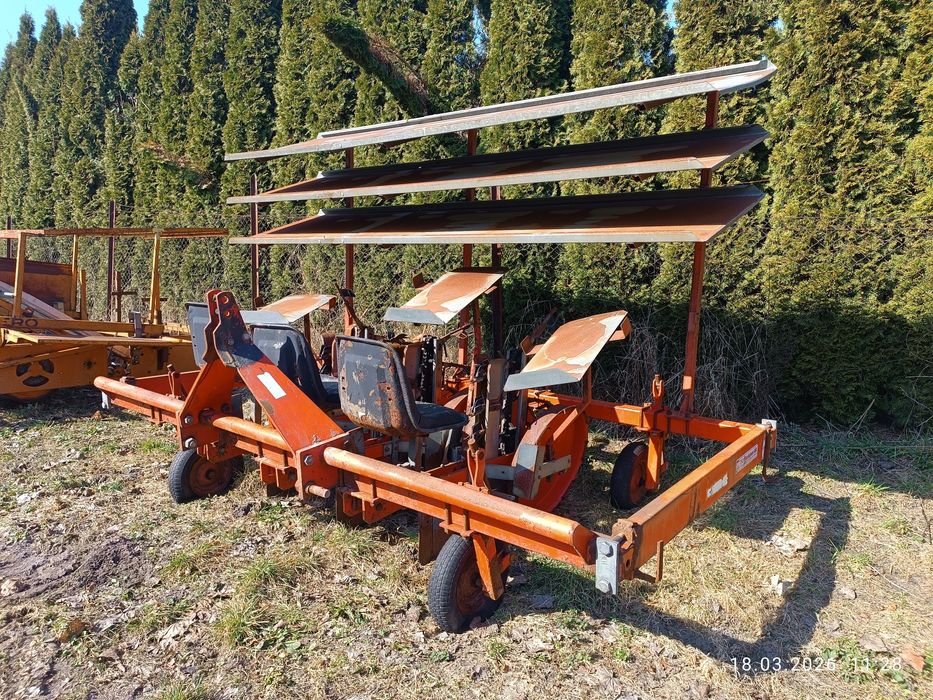 Sadzarka do warzyw Checchli&Magli, Regero