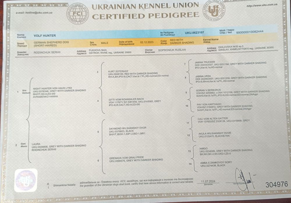 Німецька вівчарка