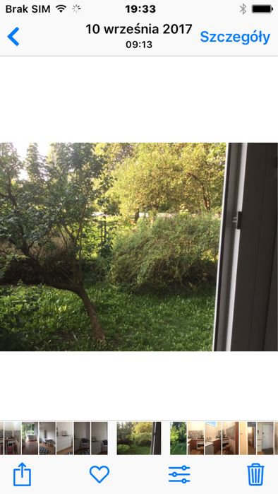 Zdjęcie 7