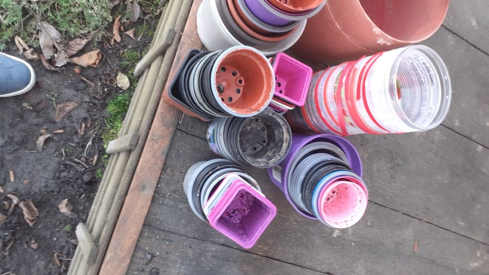 Doniczki produkcyjne 130 szt