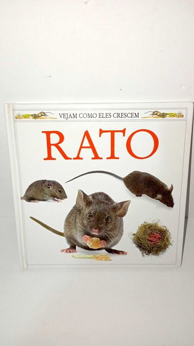Rato - Vejam coo eles crescem