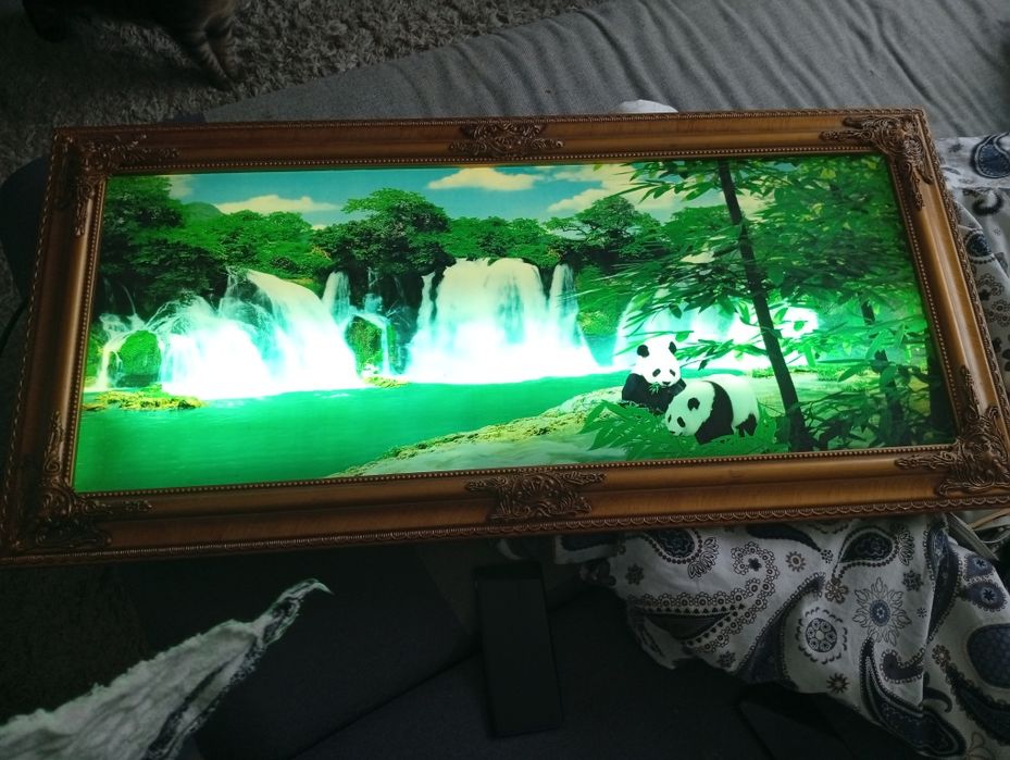 Sprzedam obraz podświetleny