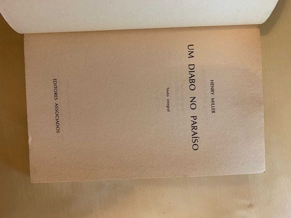 Um Diabo no Paraíso - Henry Miller