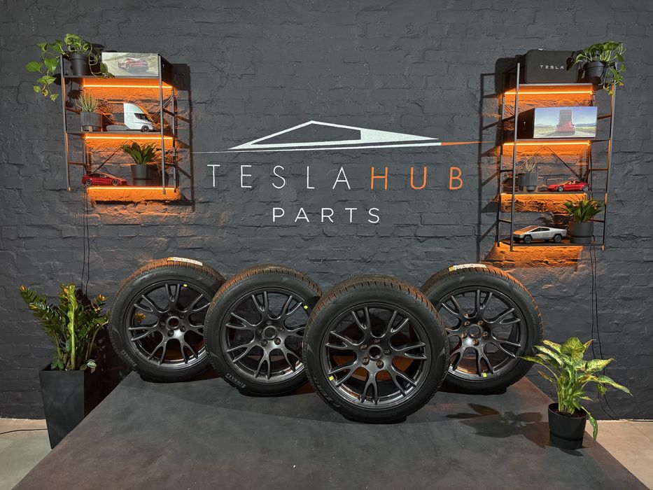 Зимові Pirelli PZero Winter 255/45 R19 + 285/40 R19 + Tempest R19 Tesla Model S Plaid