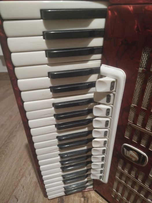 Akordeon weltmaister 120