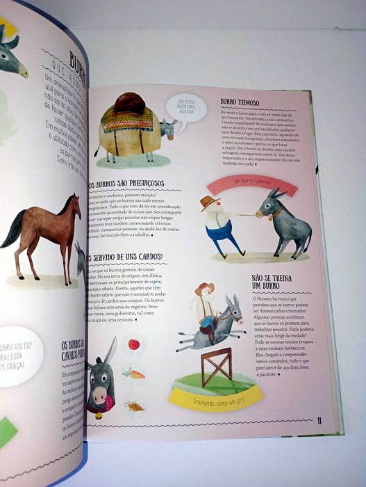 O que achas que sabes sobre os animais? - Jacarandá editora