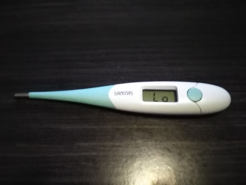 Mercury-Free Digital Thermometer